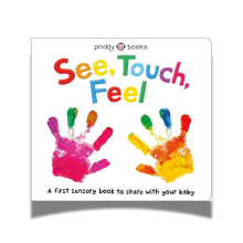 See, Touch, Feel Baby Book